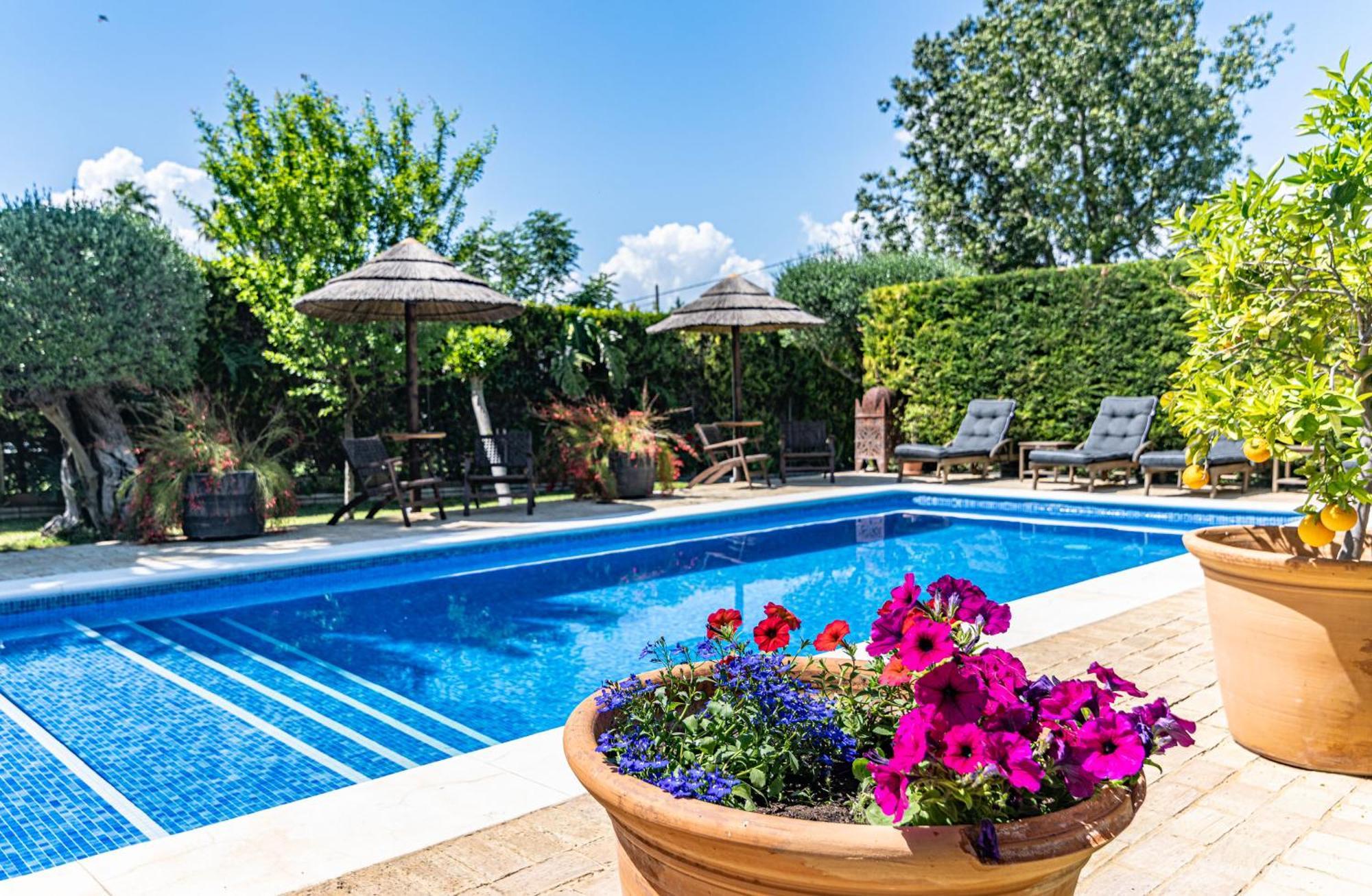 إسبارتيناس B&B Casa Adelante Sevilla المظهر الخارجي الصورة