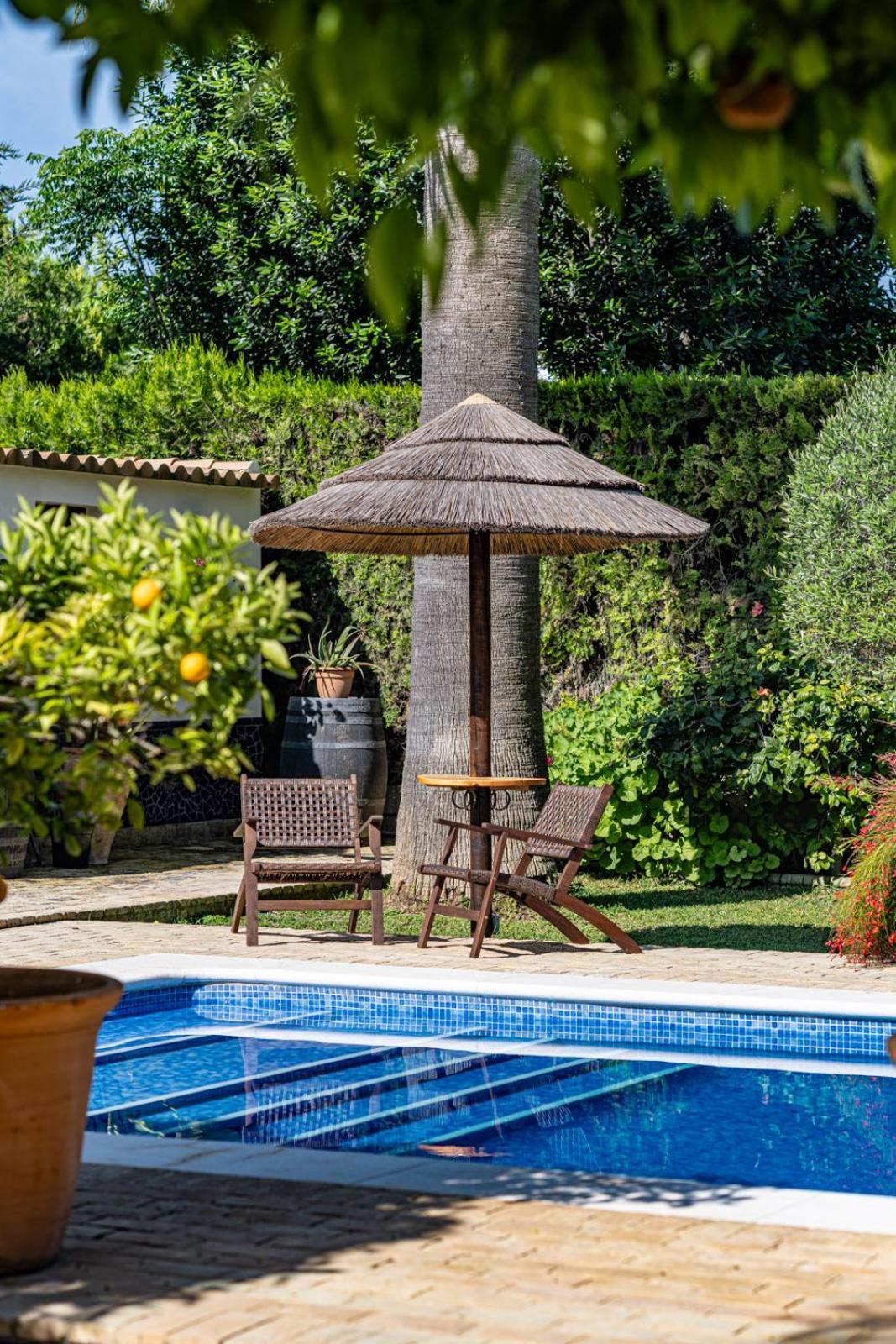 إسبارتيناس B&B Casa Adelante Sevilla المظهر الخارجي الصورة
